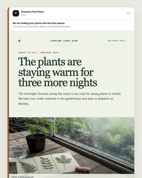 Delivery hold email template preview