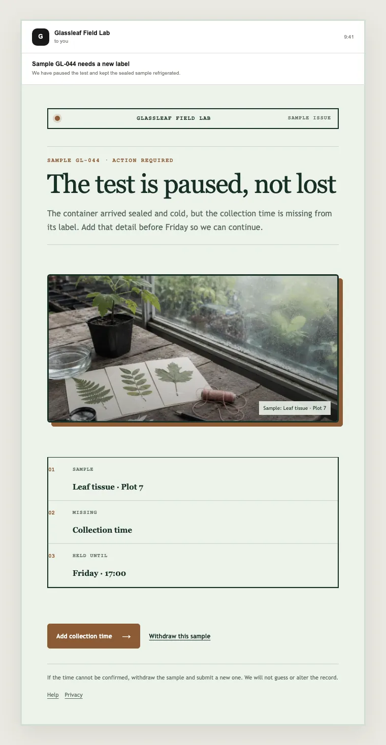 Sample issue email template preview
