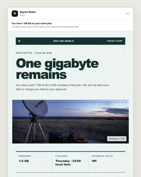 Usage alert email template preview